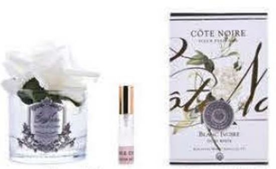 Ароматизированная роза, цвет слоновая кость,  прозрачная ваза, 1 спрей Д  16х10,5х10,5 см FRENCH ROSE ivory, арт. GMR01 COTE NOIRE