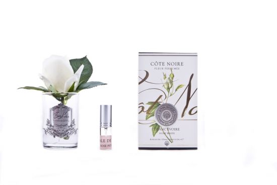 Ароматизированная роза, цвет слоновая кость,  прозрачная ваза, 1 спрей, Д  13,5х8х8 см ROSE BUD ivory, арт. GMR41 COTE NOIRE