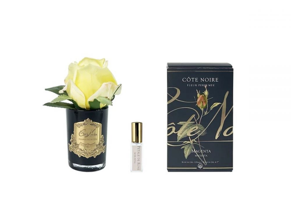 Ароматизированная роза, желтый,  черная ваза, 1 спрей   10 мл, Д  13,5х8см., ROSE BUD yellow, Cote Noire