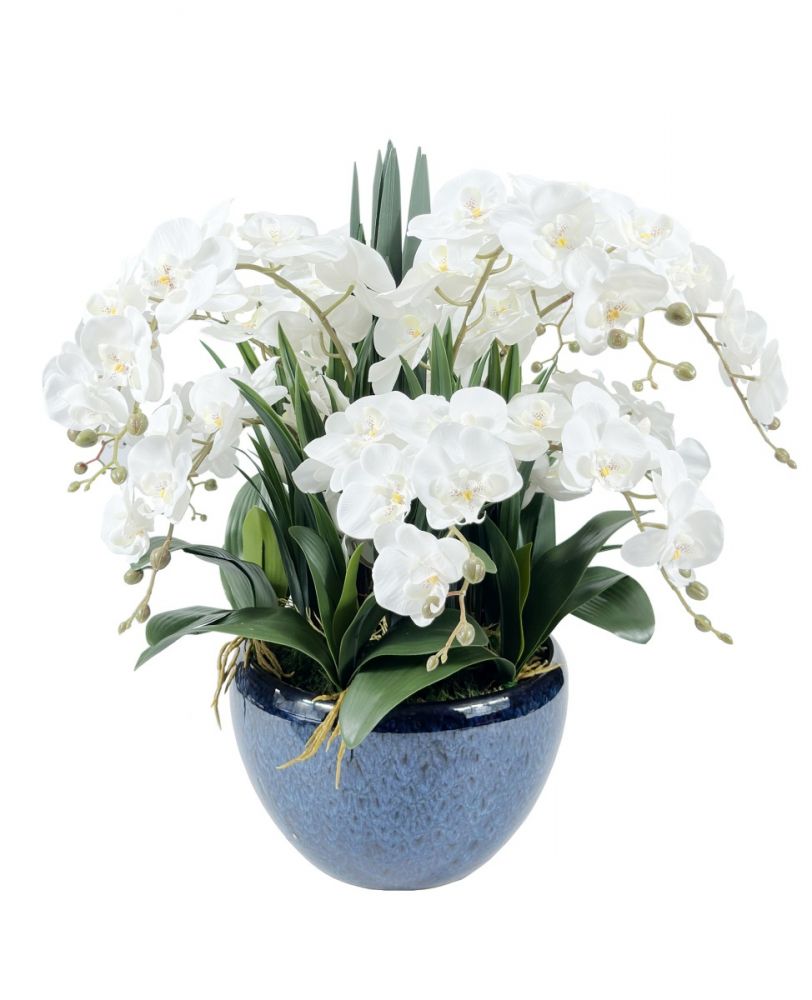 LUXURY GIANT ORCHID WHITE   Большой букет орхидей, белый