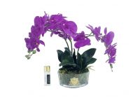 OVAL Orchid purple  Букет розовые орхидеи, 2 спрея по 10 мл