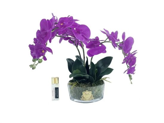 OVAL Orchid purple  Букет розовые орхидеи, 2 спрея по 10 мл