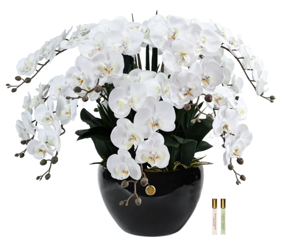 LUXURY GIANT ORCHID WHITE   Большой букет орхидей, белый
